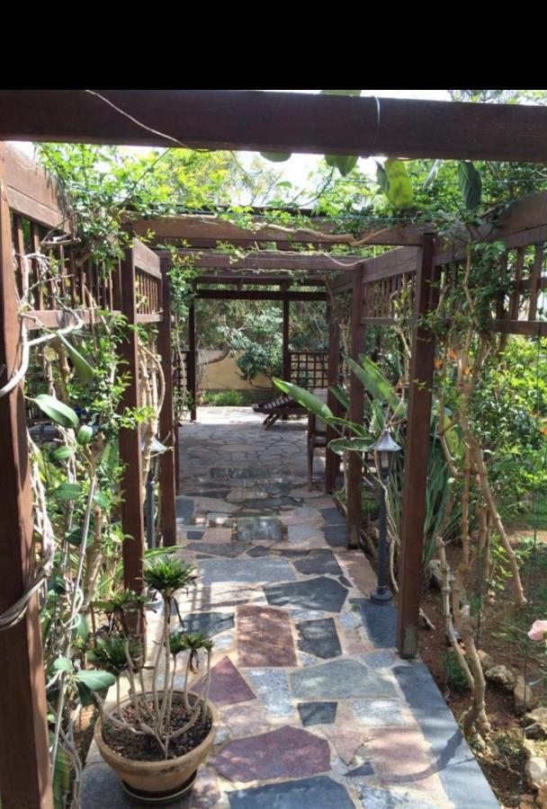 איה נאפה Villa Natalia מראה חיצוני תמונה