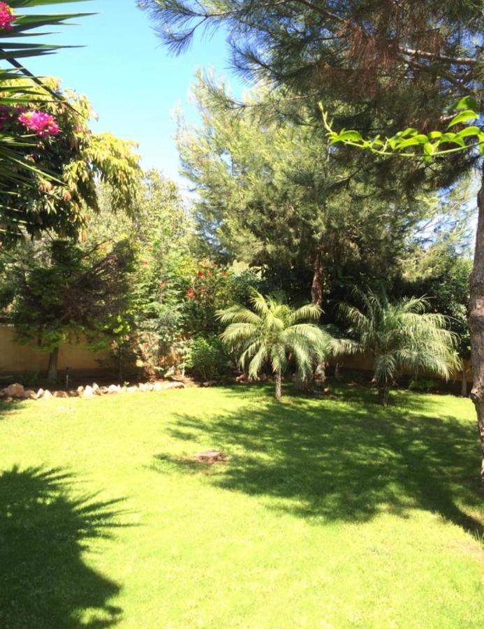 איה נאפה Villa Natalia מראה חיצוני תמונה
