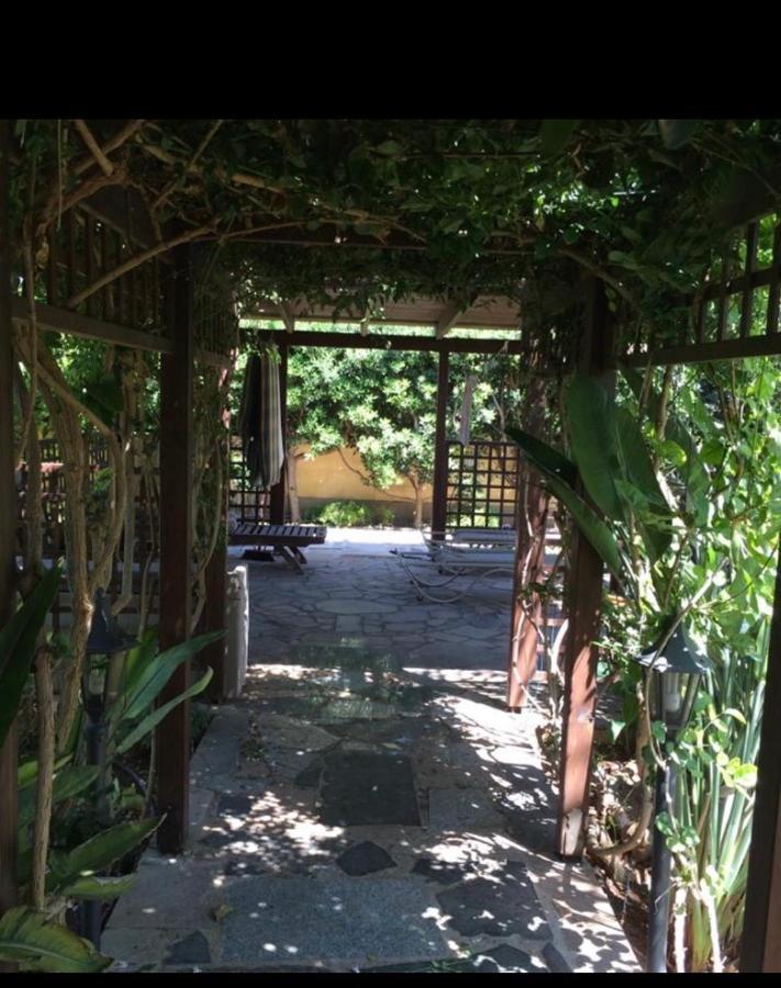 איה נאפה Villa Natalia מראה חיצוני תמונה